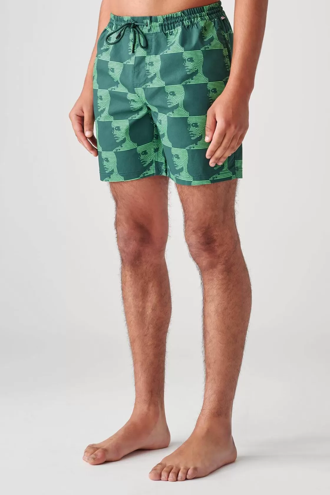 Globe Brand Circuits Poolshort - Night Green Shop