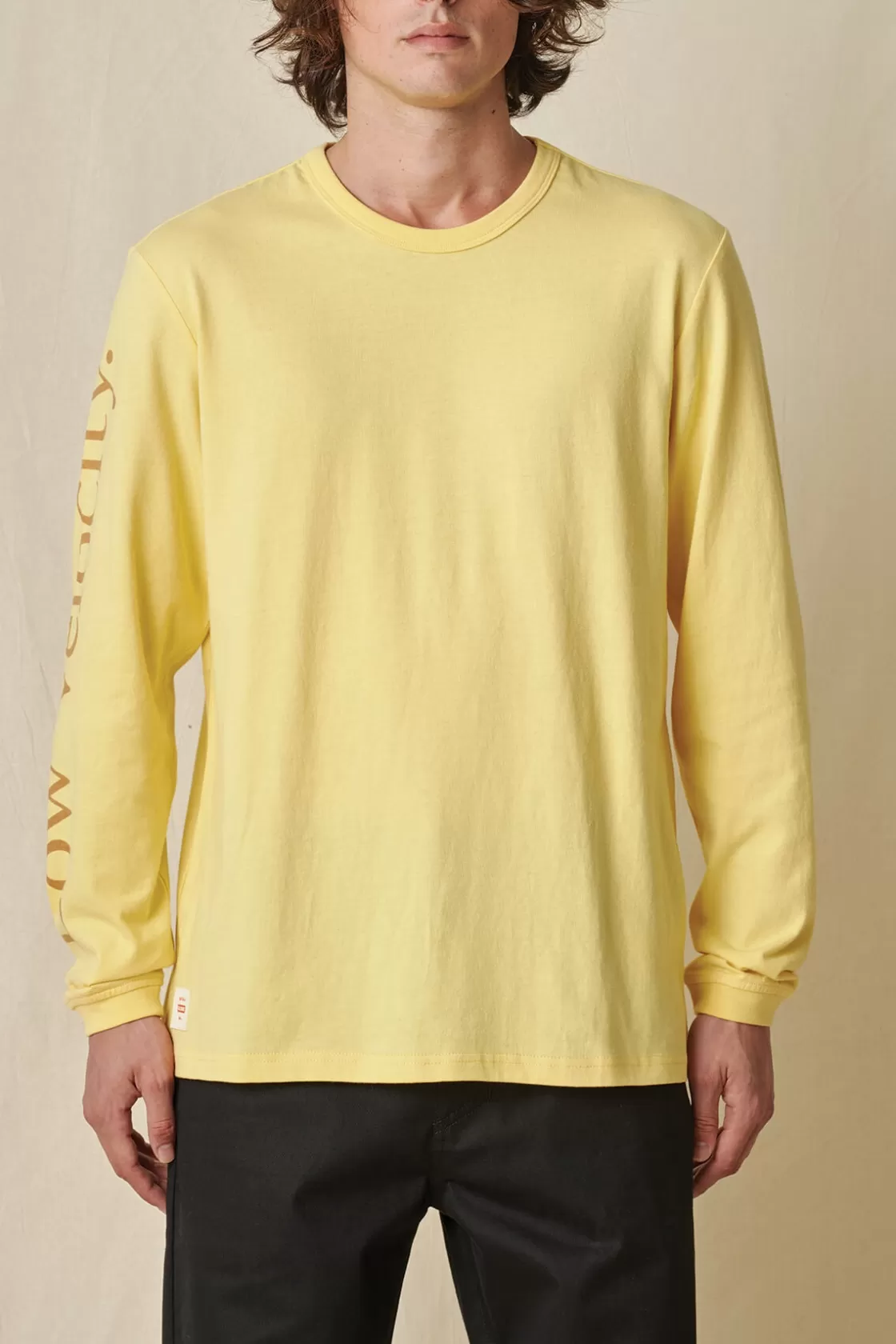 Globe Brand Summit LS Tee - Mellow Online